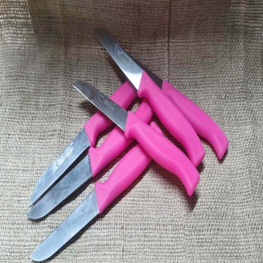 CEMİL 6LI RENKLİ MEYVE BIÇAK*72*288