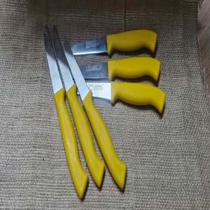 CEMİL 6LI RENKLİ MEYVE BIÇAK*72*288