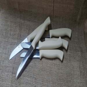 CEMİL 6LI RENKLİ MEYVE BIÇAK*72*288