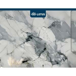 LOTUS 60X60 YAPIŞKANLI DUVAR PANELİ PK10 100*