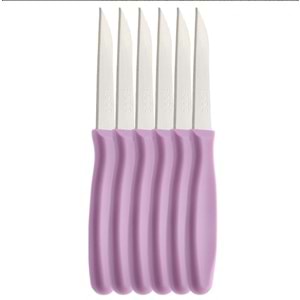 ROOC YG-06 6LI TIRTILLI MEYVE BIÇAĞI